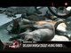AWAS ANJING RABIES !!! Belasan Warga Digigit Anjing Rabies Di Jembrana, Bali - iNews Pagi 07/10