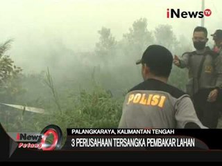 3 Perusahaan Tersangka Pembakaran Lahan Di Kalteng - iNews Petang 09/10