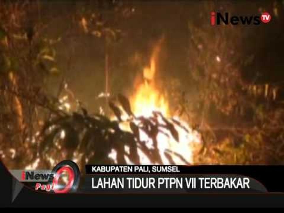 Inilah Kebakaran Lahan Tidur Milik PTPN VII Yang Terbakar - iNews Pagi 16/10