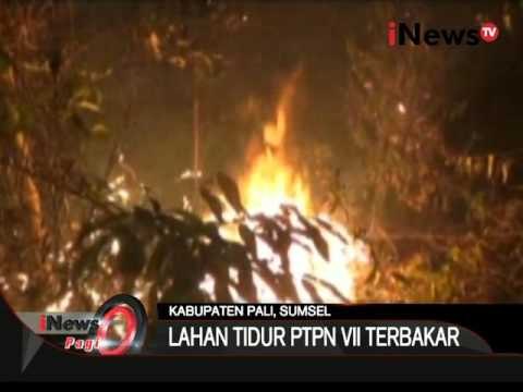 Inilah Kebakaran Lahan Tidur Milik PTPN VII Yang Terbakar - iNews Pagi 16/10