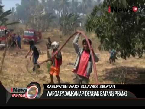 Sepuluh Hektare Hutan Bambu Terbakar Akibat Puntung Rokok - iNews Petang 20/10