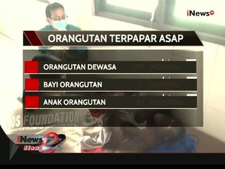 Inilah Dampak Kerugian Yang Ditimbulkan Dari Kabut Asap - iNews Siang 26/10