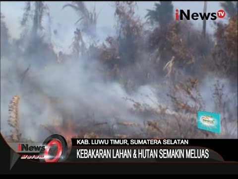 Bahaya !!! Kebakaran Lahan Dan Hutan Di Kab. Luwu Timur Semakin Meluas - iNews Malam 25/10