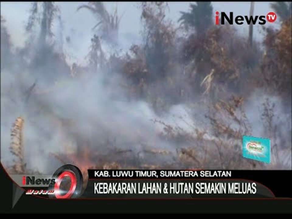 Bahaya !!! Kebakaran Lahan Dan Hutan Di Kab. Luwu Timur Semakin Meluas - iNews Malam 25/10