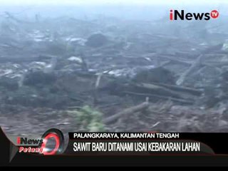 Descargar video: Habis Terbakar, Terbitlah Sawit - iNews Petang 23/10