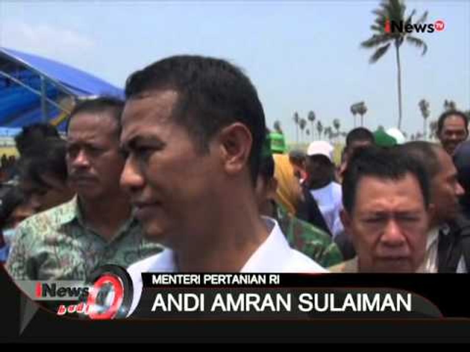 Ditengah Kemarau Panjang, Panen Raya Padi Dijumpai Di Kab. Wajo, Sulsel - iNews Pagi 27/10