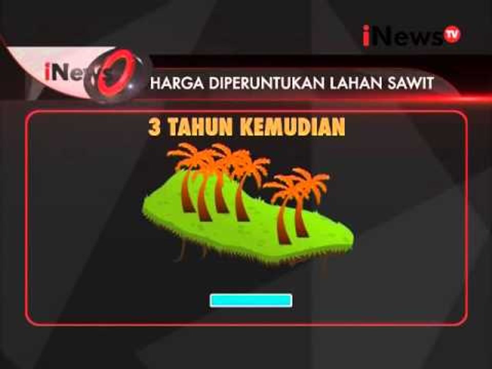 Inilah Motif Pembakaran Hutan Untuk Dijadikan Lahan Kelapa Sawit - iNews Siang 27/10