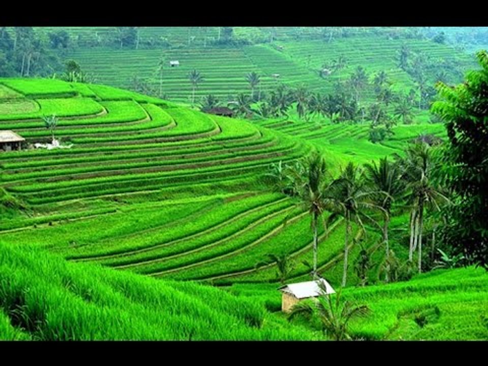 Pesona Wisata Tabanan Kembangkan Wisata Pertanian - iNews Malam 26/10