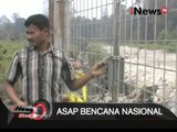 Kebakaran Lahan Sengaja Untuk Menjadi Lahan Kelapa Sawit Di Palangkaraya - iNews Siang 30/10