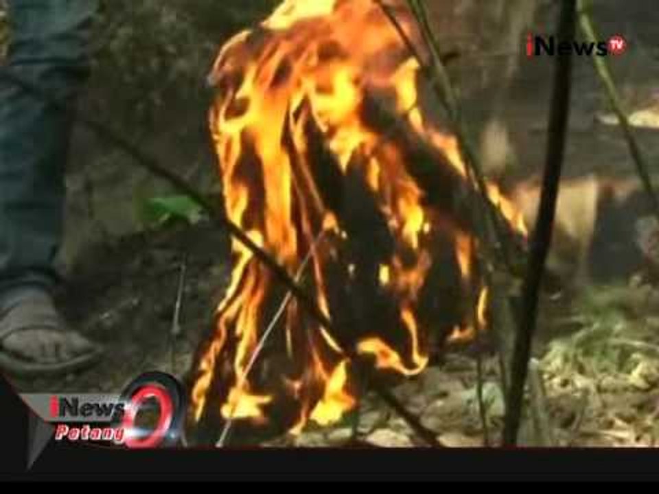 Live Report : Terkait Kondisi Terkini Kebakaran Hutan Di Bandung - iNews Petang 03/11