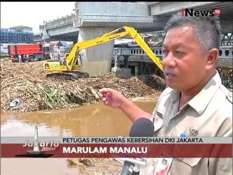 Penumpukan Sampah Di Bawah Jembatan Kalibata, Hambat Aliran Kali Ciliwung - Jakarta Today 17/11