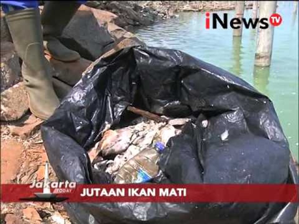 Live Report: Wawancara Pengelola PT Pembangunan Jaya Ancol Rika Lestari - Jakarta Today 01/12