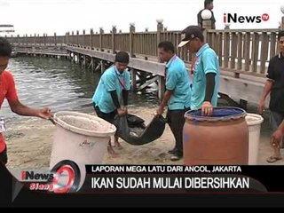 Live Report : Terkait Kematian Jutaan Ikan Di Ancol - iNews Siang 01/12