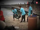 Live Report: Jutaan Ikan Mati Di Pantai Ancol - Jakarta Today 0112