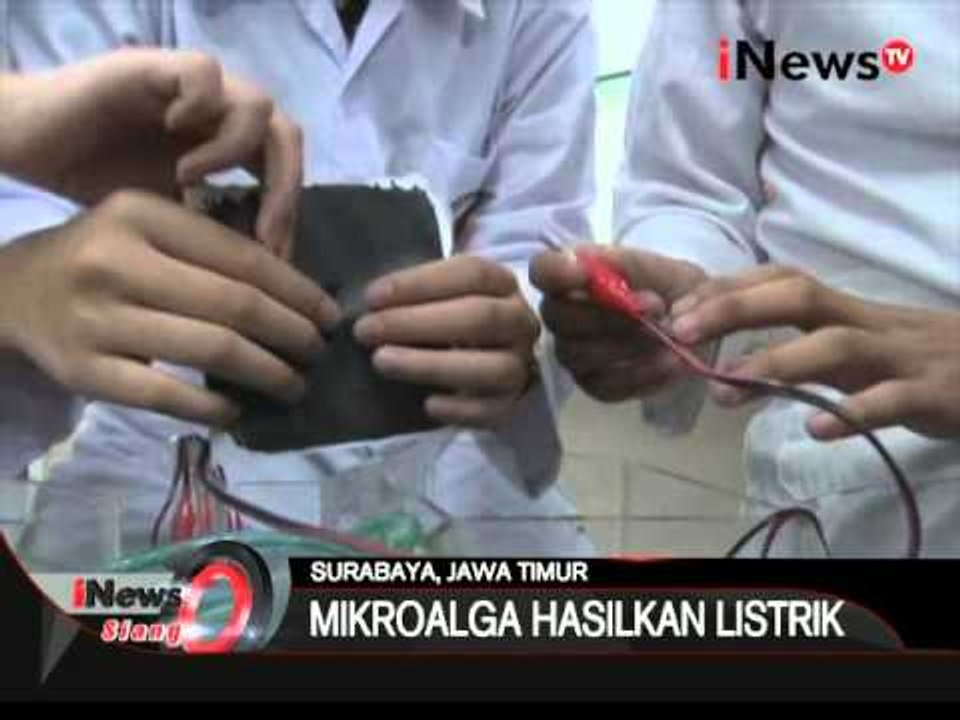 Mahasiswa Di Surabaya Berhasil Menciptakan Energi Alternatif Dari Plankton - iNews Siang 09/12