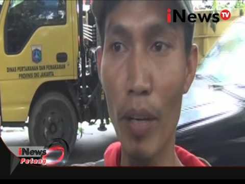 Akibat Angin Kencang, Mobil Tertimpa Pohon - iNews Petang 15/12