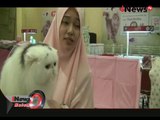 Kontes Kucing Tertua di Bandung Diikuti Peserta dari Berbagai Negara - iNews Malam 20/12