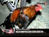 Judi Sabung Ayam, 24 Warga Sorong Diamankan Di Polresta Sorong - iNews Pagi 28/12