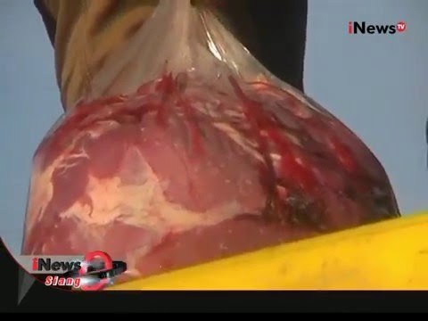 Menjelang Tahun Baru, Petugas Amankan 1,3 Ton Daging Celeng Di Lampung Selatan - iNews Siang 29/12