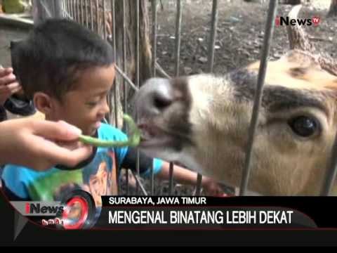 Inilah Beberapa Alternatif Destinasi Liburan Bersama Anak - iNews Pagi 30/12