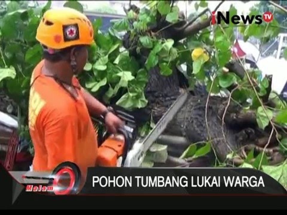 Pohon tumbang menimpa becak, 2 orang dilarikan ke IGD, Yogyakarta - iNews Malam 05/01