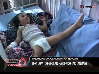Kasus DBD di berbagai daerah terus meningkat drastis - iNews Petang 06/01