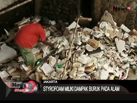 Berikut ini dampak buruk dari penggunaan styrofoam bagi kesehatan dan lingkungan - iNews Siang 11/01