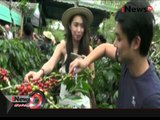 Wisata kebun kopi di minati banyak wisatawan asing, Takengon Aceh - iNews Malam 13/01