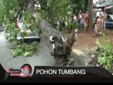 Sebuah mobil rusak parah pasca tertimpa sebuah pohon di Tubagus Angke, Jakarta - iNews Malam 13/01