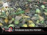 Musim hujan dan perubahan suhu picu berbagai macam penyakit -  iNews Siang 13/01