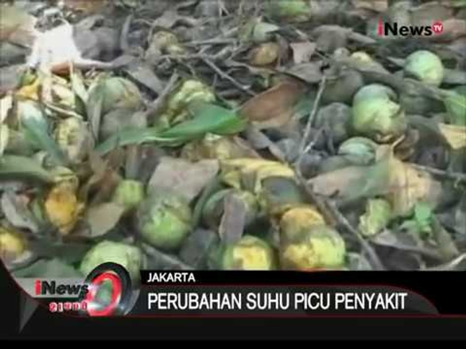 Musim hujan dan perubahan suhu picu berbagai macam penyakit -  iNews Siang 13/01