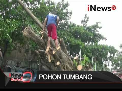 Sejumlah kendaraan rusak akibat terimpah pohon tumbang - iNews Malam 27/01