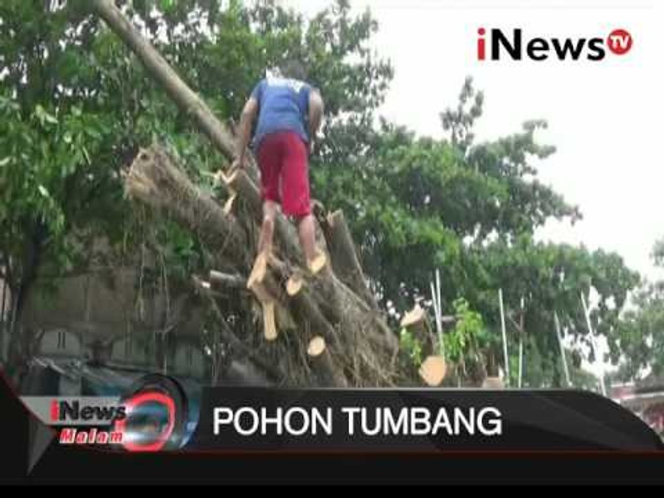 Sejumlah kendaraan rusak akibat terimpah pohon tumbang - iNews Malam 27/01