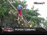 Sejumlah kendaraan rusak akibat terimpah pohon tumbang - iNews Malam 27/01