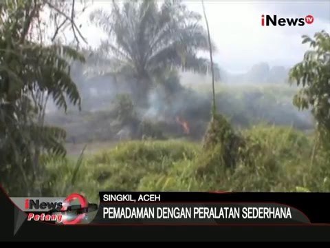 Kebakaran lahan gambut kembali terjadi di Singkil, Aceh - iNews Petang 29/01