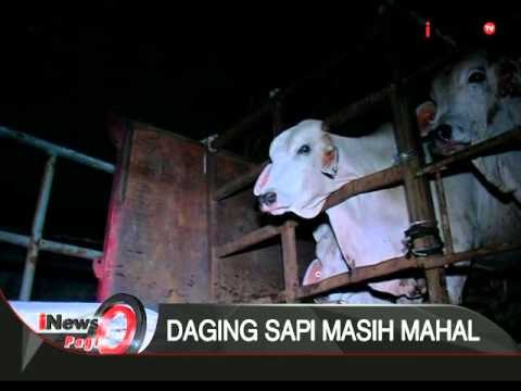 Pajak 10% daging sapi sudah dihapuskan, pemerintah belum penuhi pasokan sapi - iNews Pagi 03/02