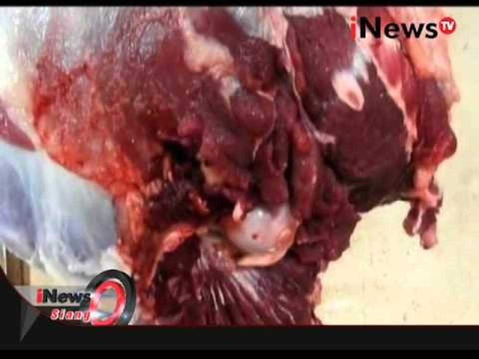 Harga daging sapi dan ayam tinggi - iNews Siang 04/02