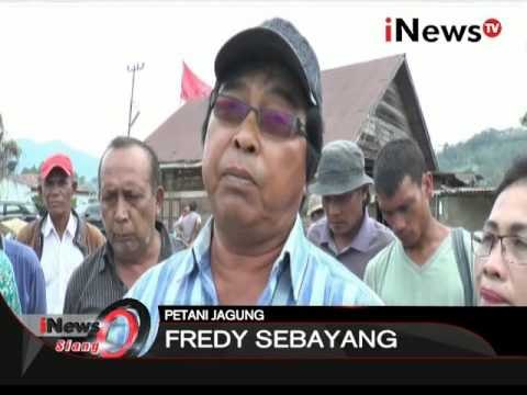 Petani jagung khawatir masuknya jagung impor kepasaran - iNews Siang 02/02