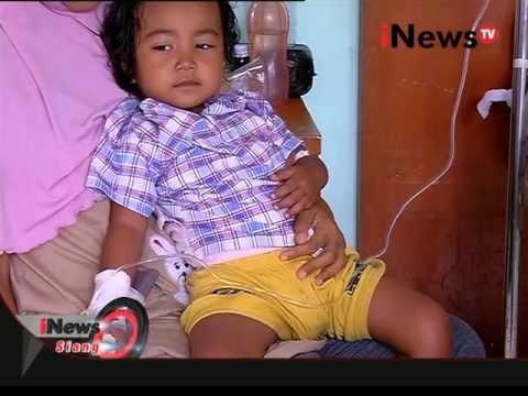 Live Report: Irfan Tanjung, waspada demam berdarah - iNews Siang 05/02