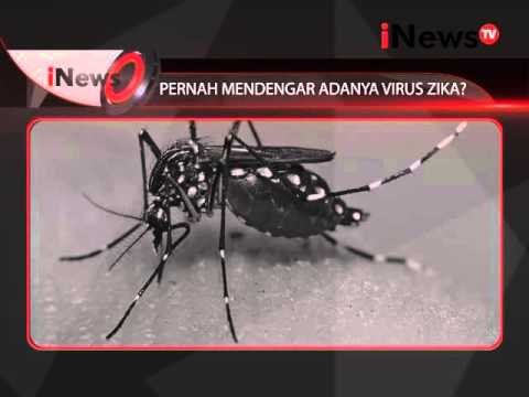 Masyarakat Indonesia masih belum mengetahui Virus Zika - iNews Siang 05/02