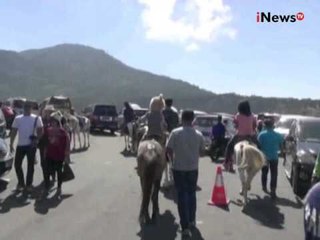 Download Video: Libur Imlek, ribuan pengunjung padati wisata alam gunung Tangkuban Perahu - iNews Siang 08/02