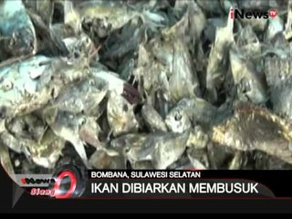 Pencemaran udara terjadi di Bombana, Sulsel, puluhan ton ikan dibiarkan membusuk - iNews Siang 09/02