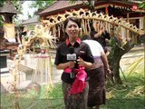 Live report: persiapan warga Bali menyambut hari raya Galungan - iNews Siang 09/02