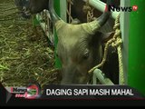 Kapal khusus ternak kembali membawa 500 sapi ke Jakarta - iNews Siang 09/02