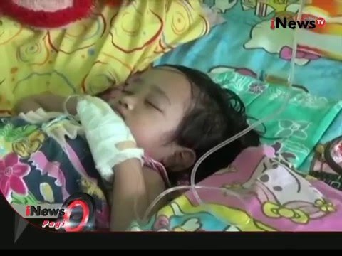 Wabah DBD merebak di Palangkaraya, sejumlah RS hampir tiap hari terima pasien DBD - iNews Pagi 08/02