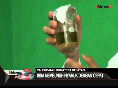 Siswa SMA di Palembang ciptakan spay anti nyamuk dari kulit kayu pohon duku - iNews Pagi 10/02