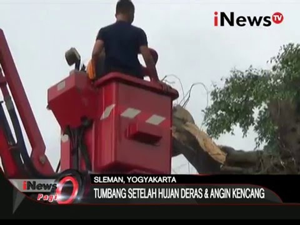 Pohon besar tumbang, gedung & sejumlah fasilitas rusak di Sleman, Yogyakarta - iNews Pagi 16/02