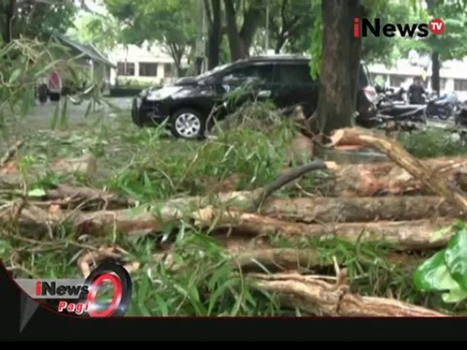 Hujan deras dan angin kencang sebabkan sejumlah pohon tumbang di areal kampus UGM - iNews Pagi 18/02