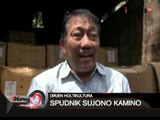 Jawab keluhan masyarakat, Dikrektorat Holtikultural Indonesia gelar operasi pasar - iNews Pagi 17/03