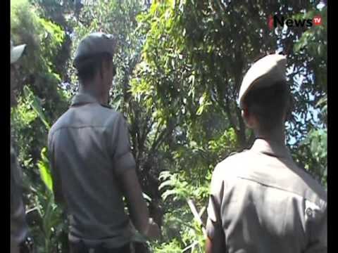 Puluhan wisma dan warung kelambu di Padang dibakar petugas Satpol PP tadi pagi - iNews Siang 01/03